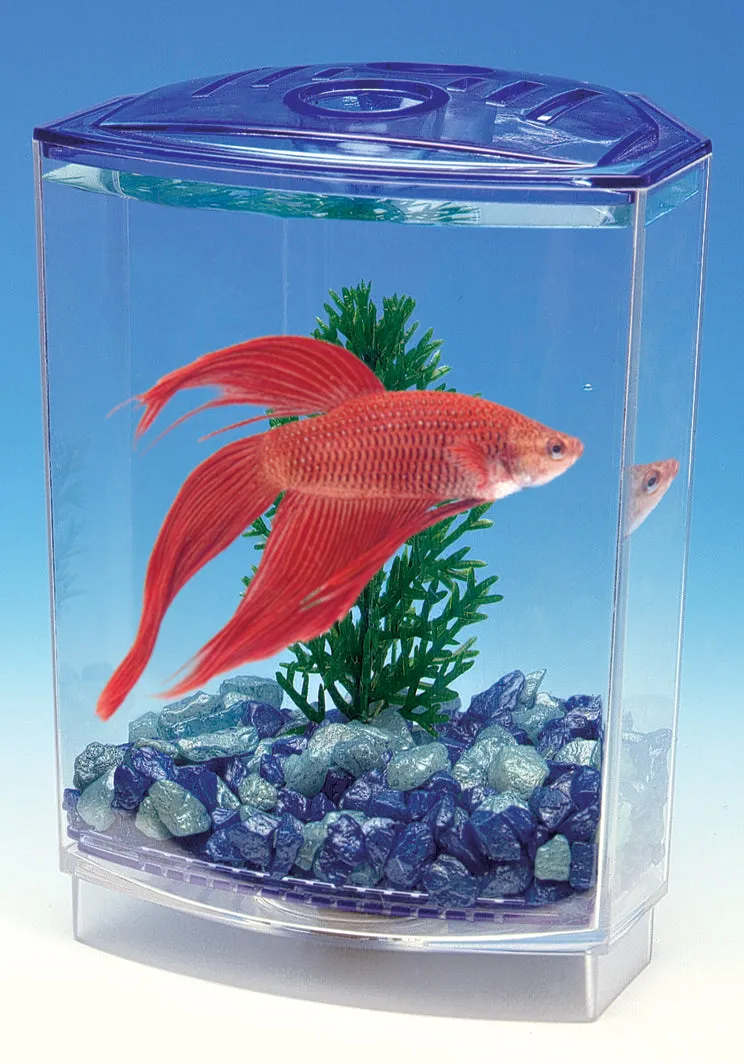 Penn Plax Betta Bowl Front Tank