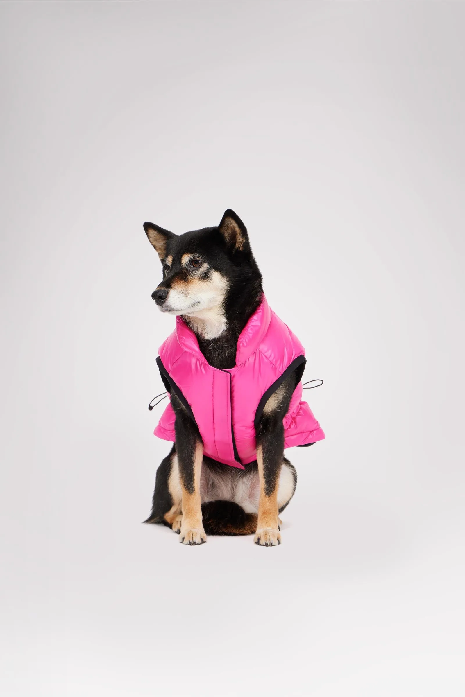 Rosie Quilted Coat w/cinched waist for Dogs